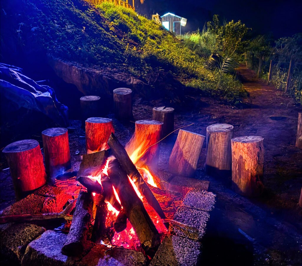 Stay in Munnar