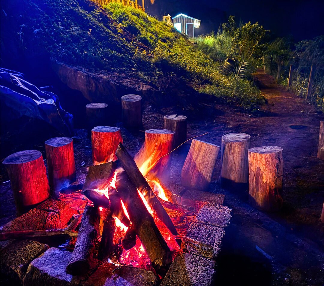 The Ultimate Stay in Munnar for Nature and Adventure